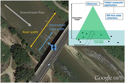 Toward a Harmonized Approach for Monitoring of Riverine Floating Macro Litter Inputs to the Marine Environment